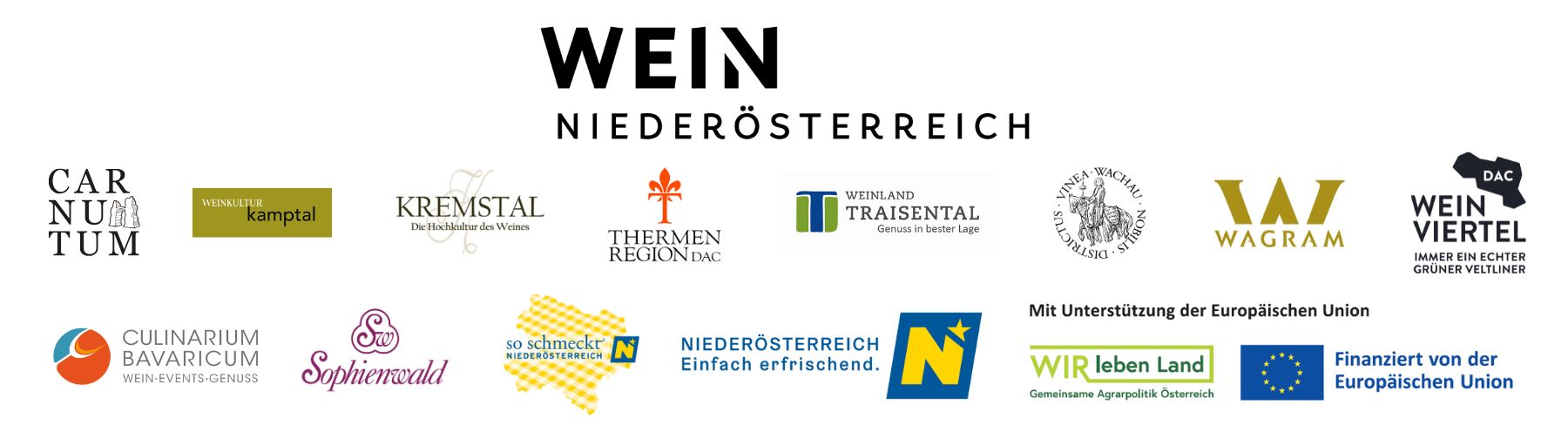 Logograb NÖ Landessieger 2025 MUC