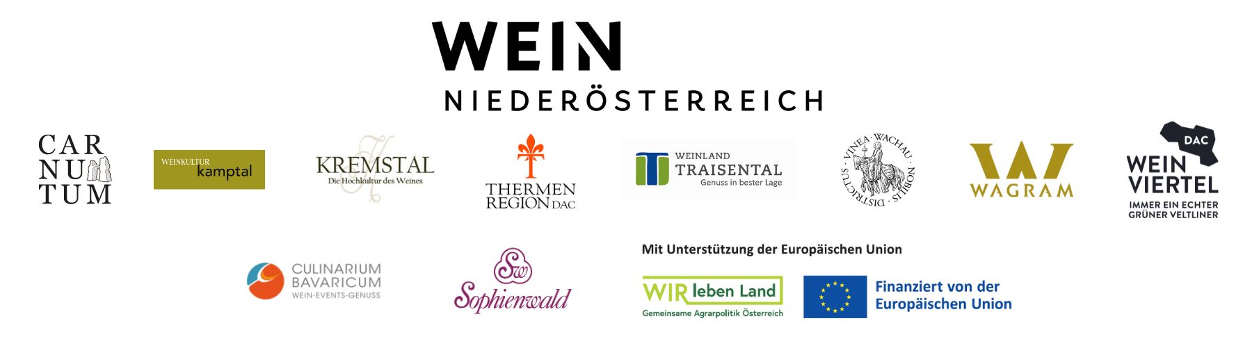 Logograb NÖ Landessieger 2024 Roadshow mitEU