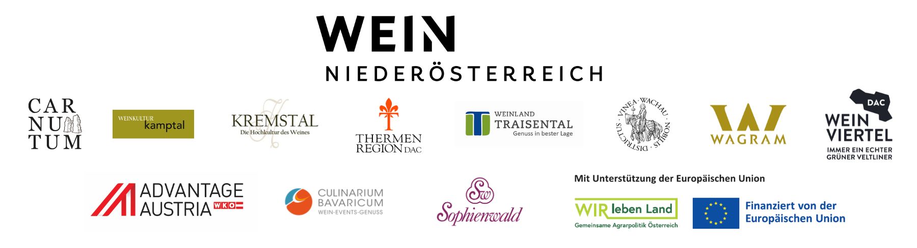 Logograb NÖ Landessieger 2024 MUC mitEU