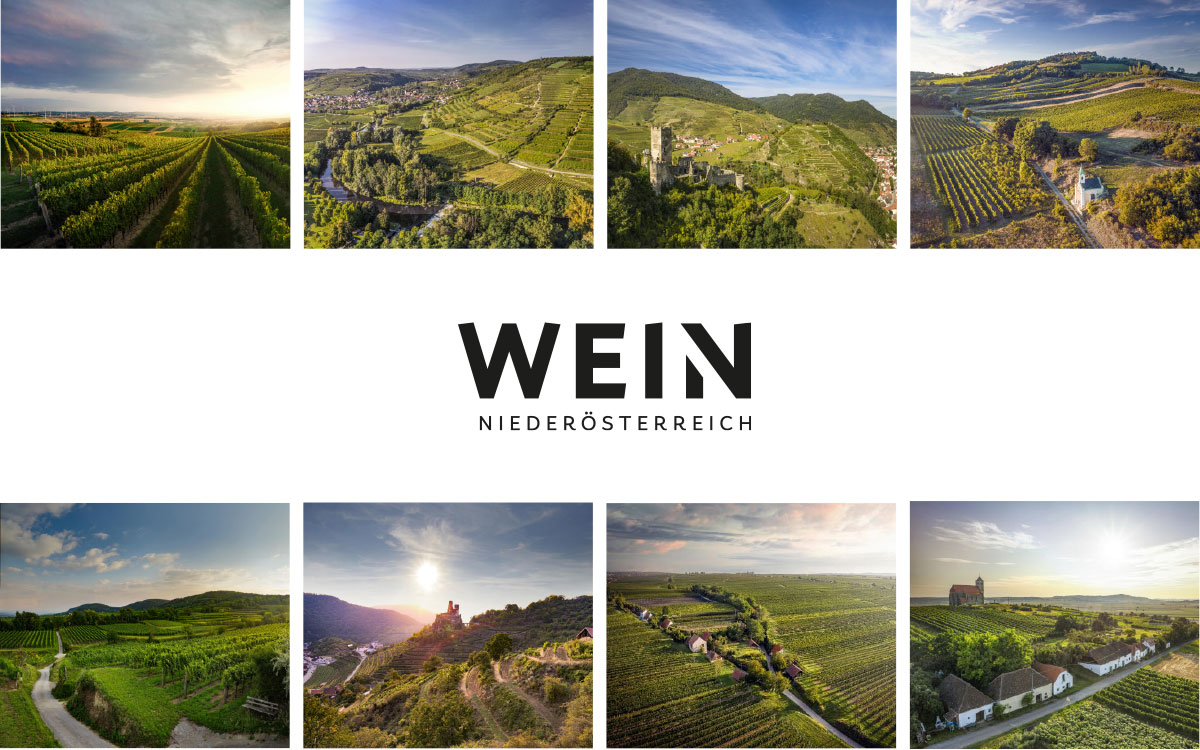 Online Masterclasses Wein Niederösterreich