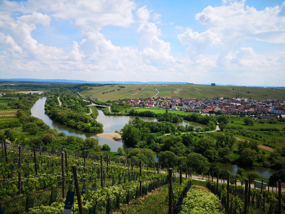 Frankfurt - Weinverkostung - InselWeinMacher