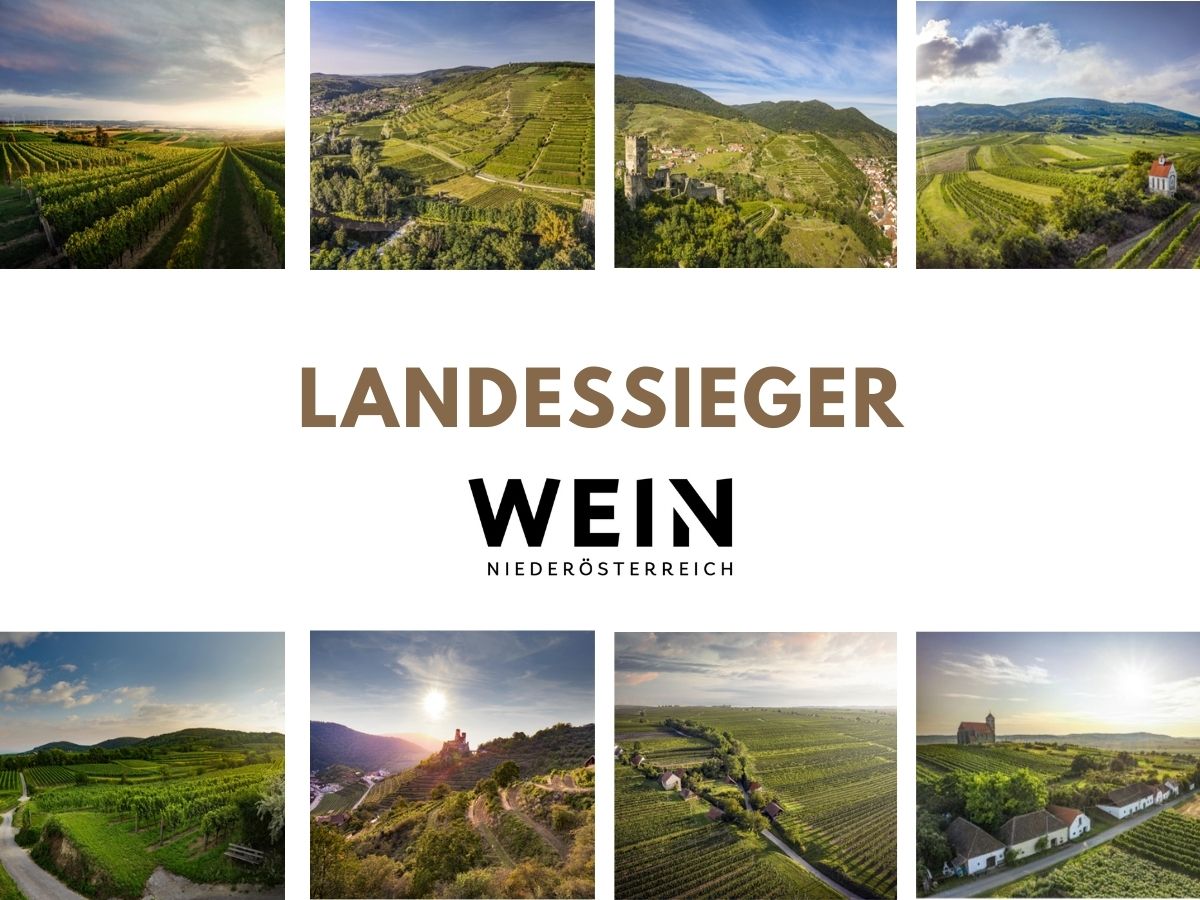 München - Weinverkostung - Niederösterreichische Landessieger 2022