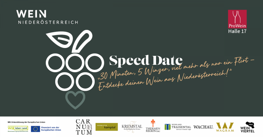 speeddate_homepage5