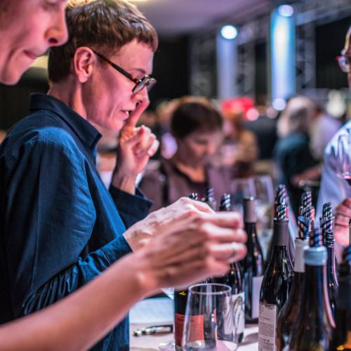 Beratung Burgenland Wein