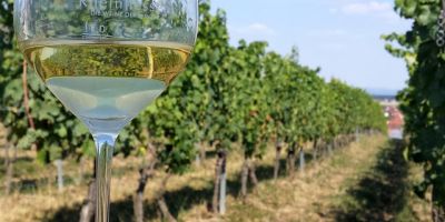 Rheinhessen Lagenweine