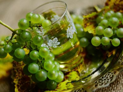 Weinviertel - Grüner Veltiner