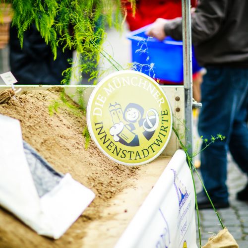 Münchner Innenstadtwirte Spargel liebt Silvaner